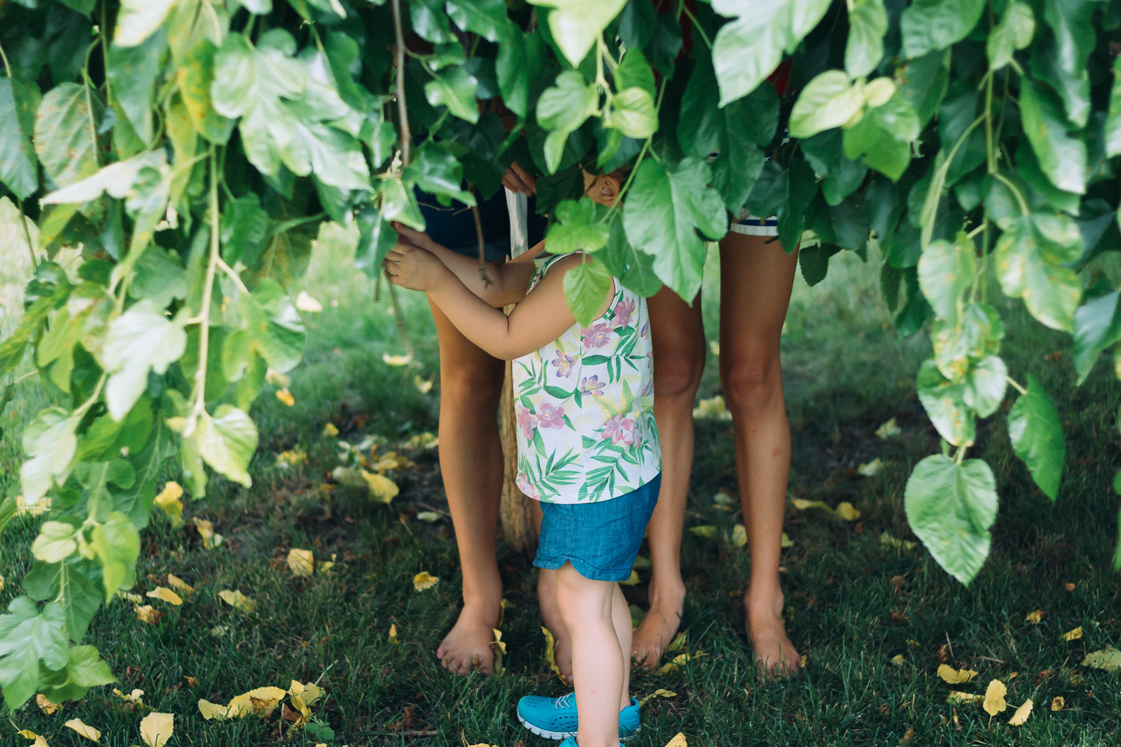 A child and a few adults playing under a tree