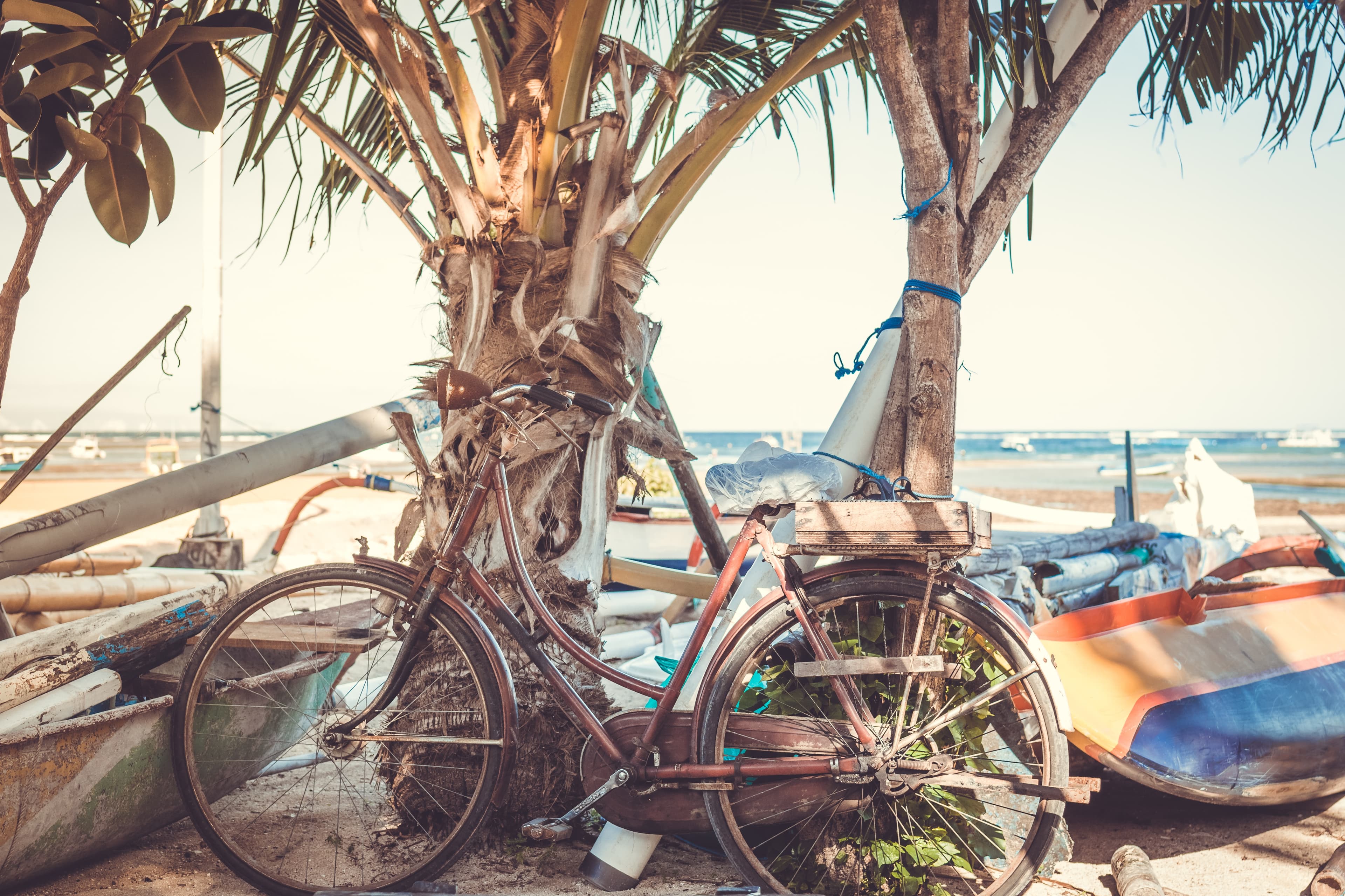 Bike leaning against palm trees on the beach