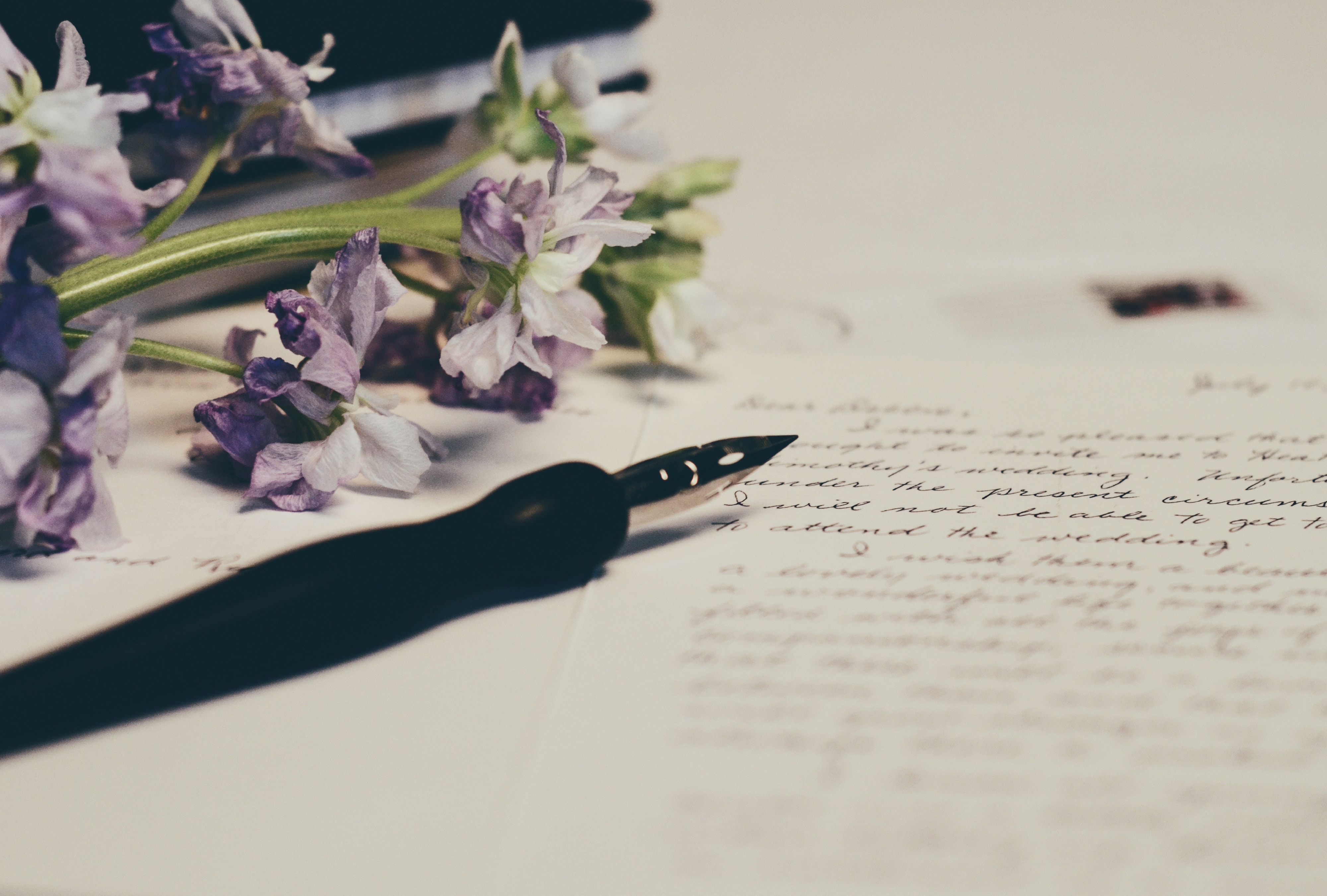Calligraphy pen set down on a piece of paper with cursive writing on it
